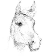 Photo de profil de joliejumper