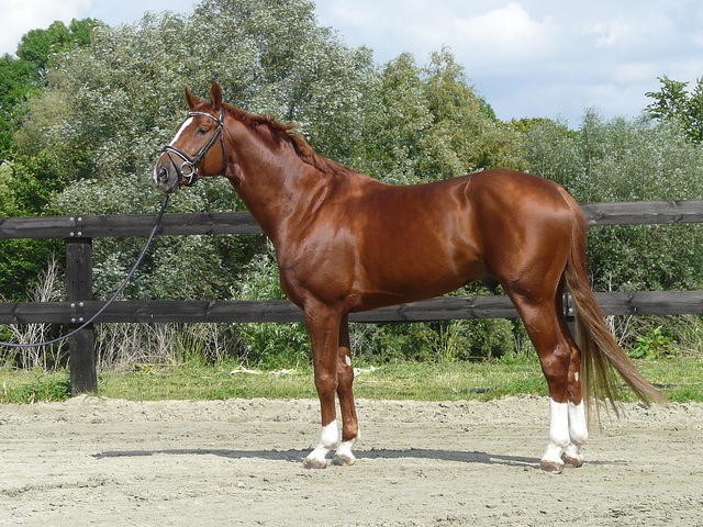 Photo de profil de elawyn37