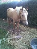 Photo de profil de luluberlu59