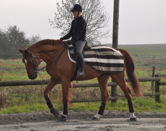 Photo de profil de auroreleon