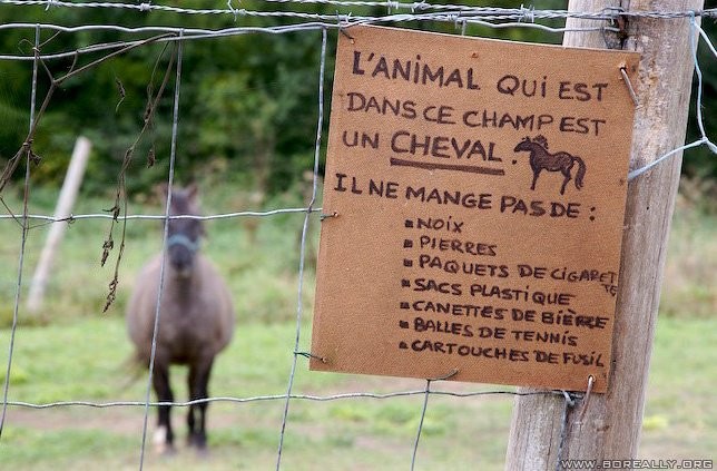 Photo de profil de morganelafee