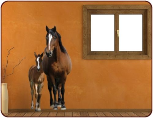 Photo de profil de samourai