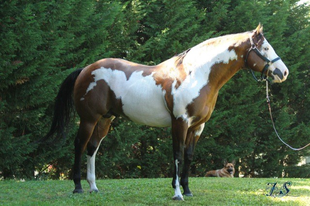 Photo de profil de neue