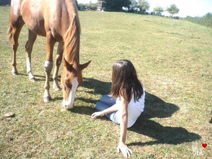 Photo de profil de ninoncheval