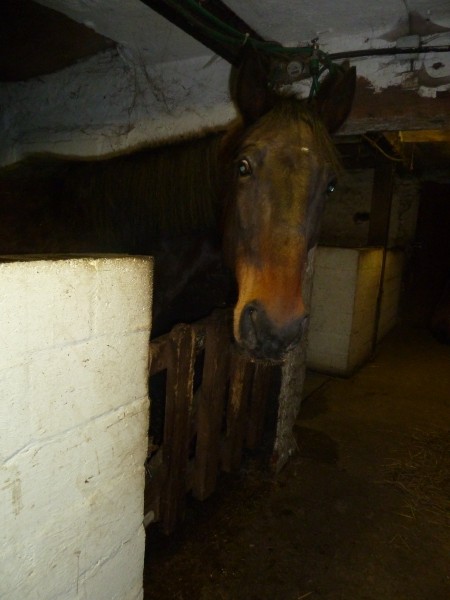 Photo de profil de myrio