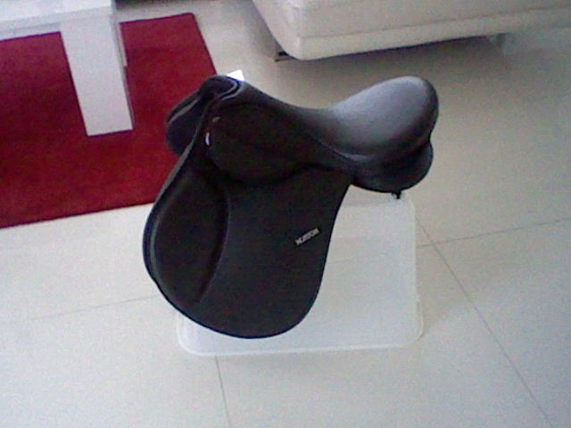 Photo de profil de moustique77