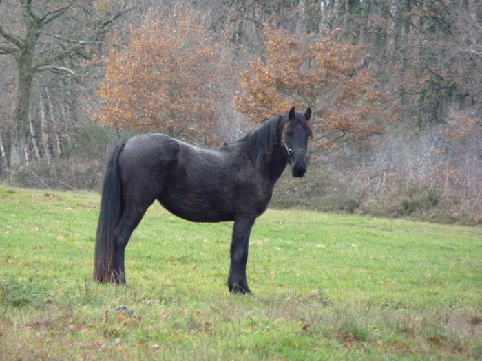 Photo de profil de lilou87