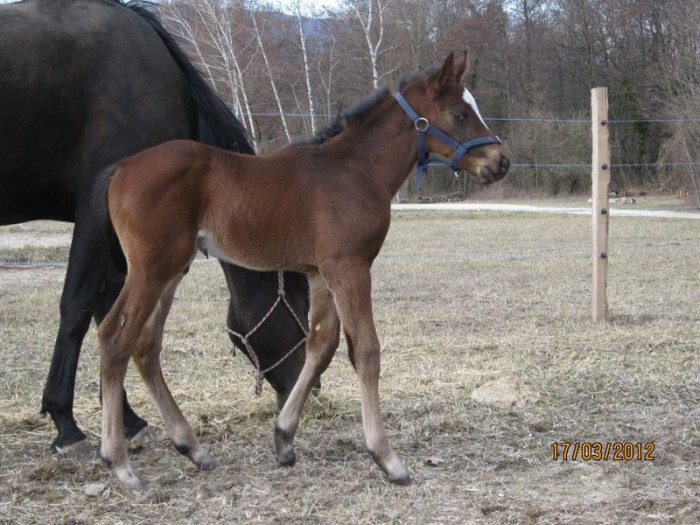 Photo de profil de novice1992