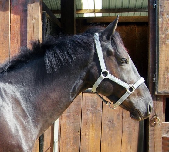 Photo de profil de panne