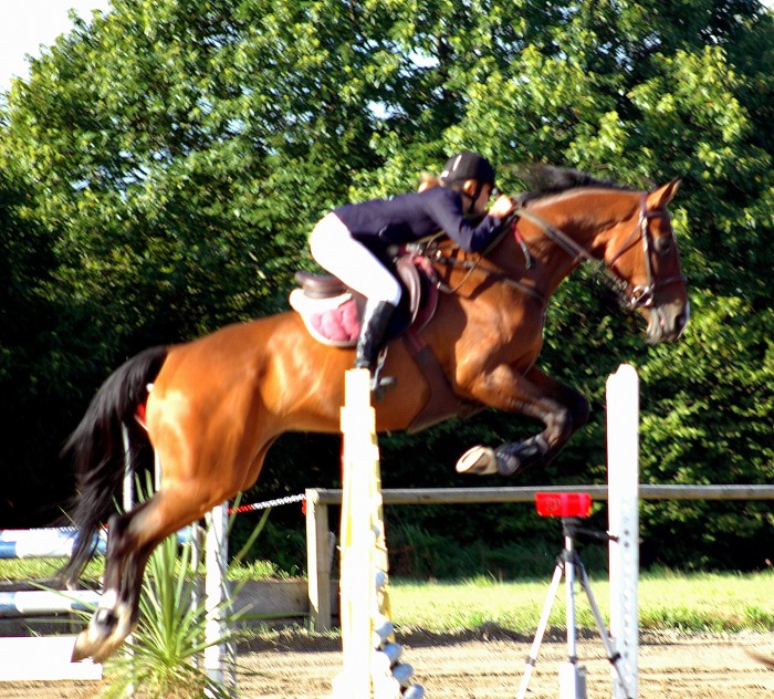 Photo de profil de elenacadec