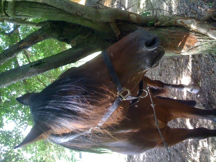 Photo de profil de gimou27