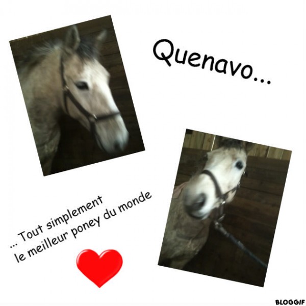 Photo de profil de ilmemanque