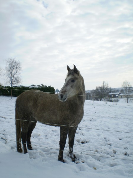 Photo de profil de finoudelph