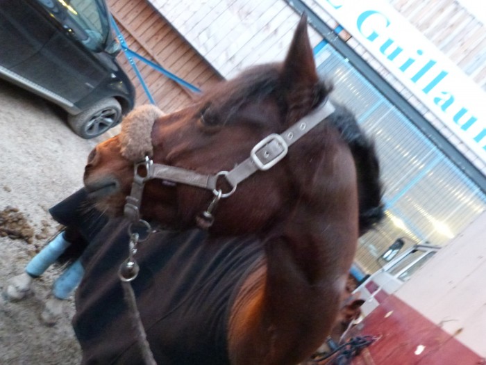 Photo de profil de pinupduperthois