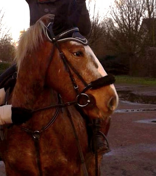 Photo de profil de kellytonnerre