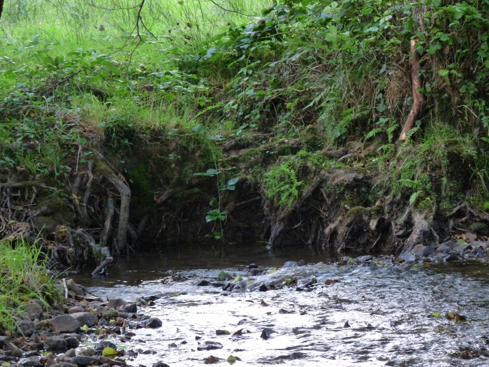 Photo de profil de bamvagabre