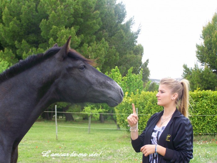 Photo de profil de azzaroangeline