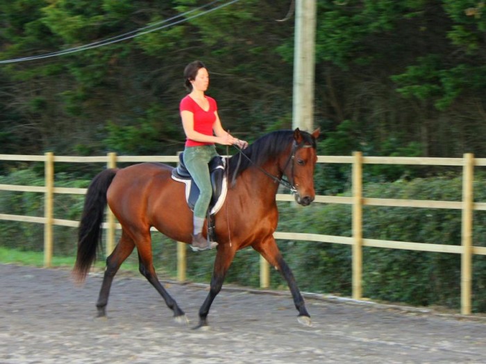 Photo de profil de sophie/ignacio