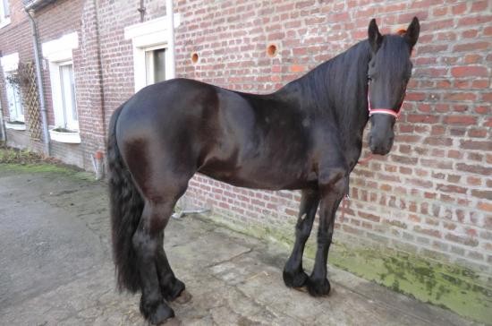 Photo de profil de vlecourtois