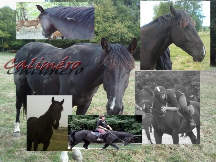 Photo de profil de cloffi