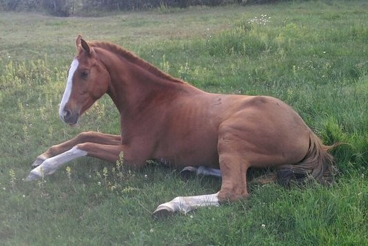 Photo de profil de florence33