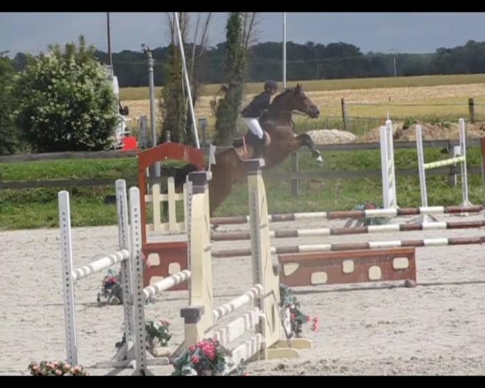 Photo de profil de samcztan