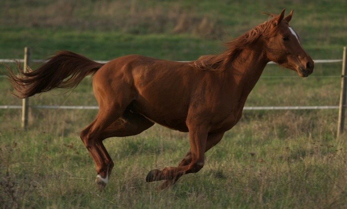 Photo de profil de pauline0722