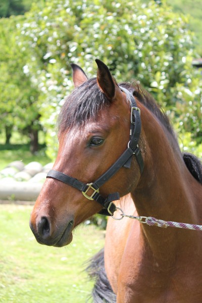 Photo de profil de marmote57