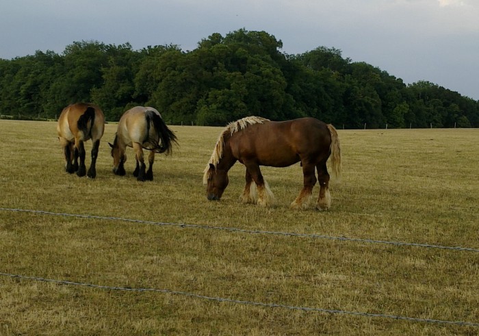 Photo de profil de gaecdelasteine