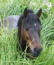 Photo de profil de elisa1999