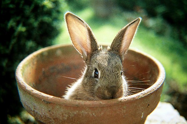 Photo de profil de eiiken