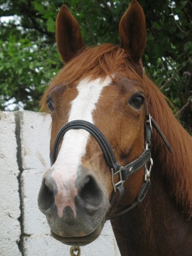 Photo de profil de cece66000