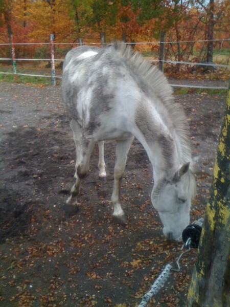 Photo de profil de ophelie33