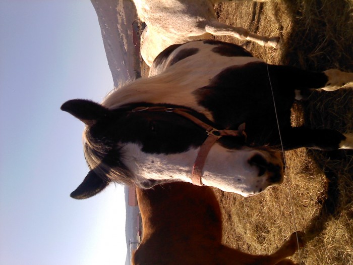 Photo de profil de anbre