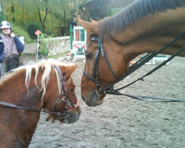 Photo de profil de grandet