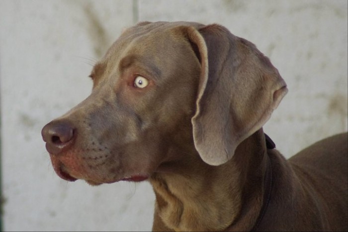 Photo de profil de farouk80