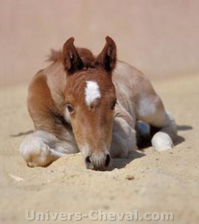 Photo de profil de inessp