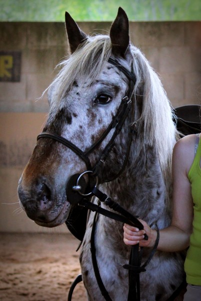 Photo de profil de grandprince98