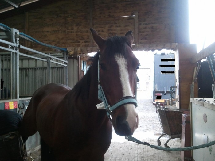 Photo de profil de gaelle08