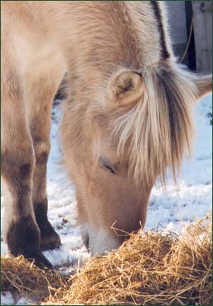 Photo de profil de kibur73