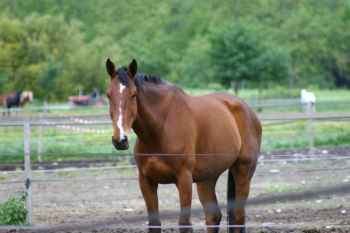 Photo de profil de neigequoquo