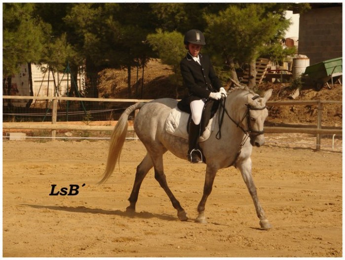 Photo de profil de papo13013