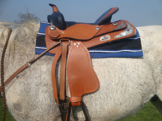 Photo de profil de valeriebauer