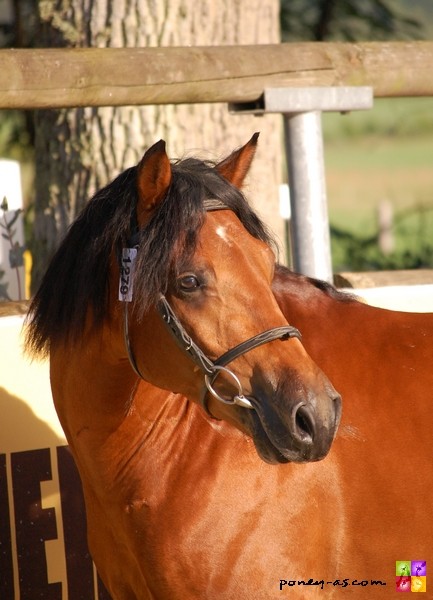 Photo de profil de montgrer