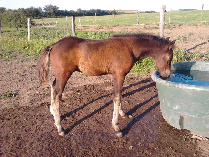 Photo de profil de gousi