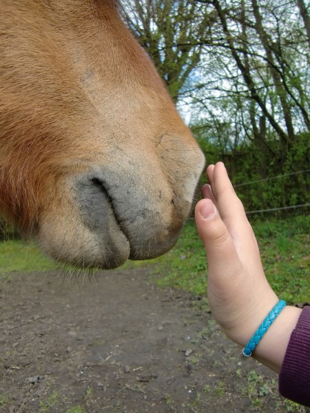 Photo de profil de ecuwreuil