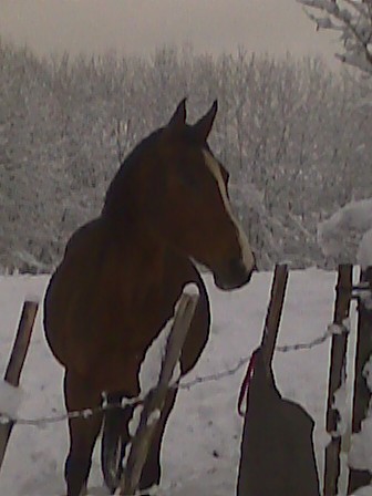 Photo de profil de mambo2