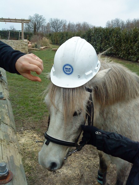 Photo de profil de 1007oscar