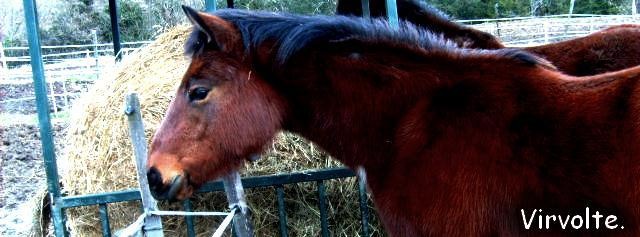 Photo de profil de virvolteetsandy