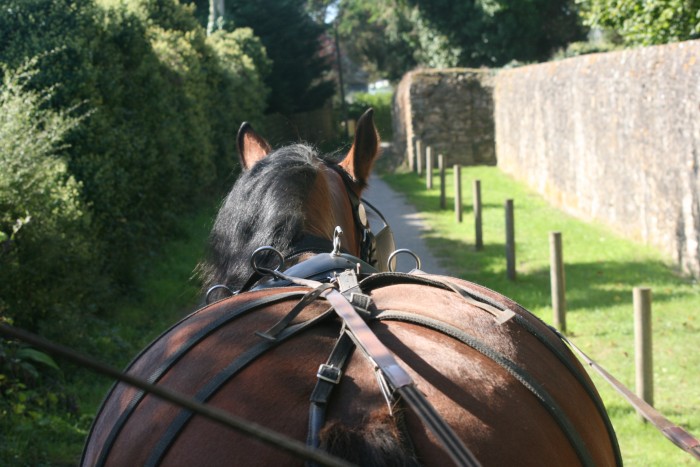 Photo de profil de zaf56